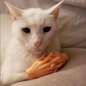 Meet your Posher, Rafaela